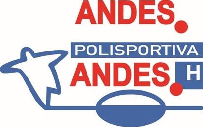 Polisportiva Andes H