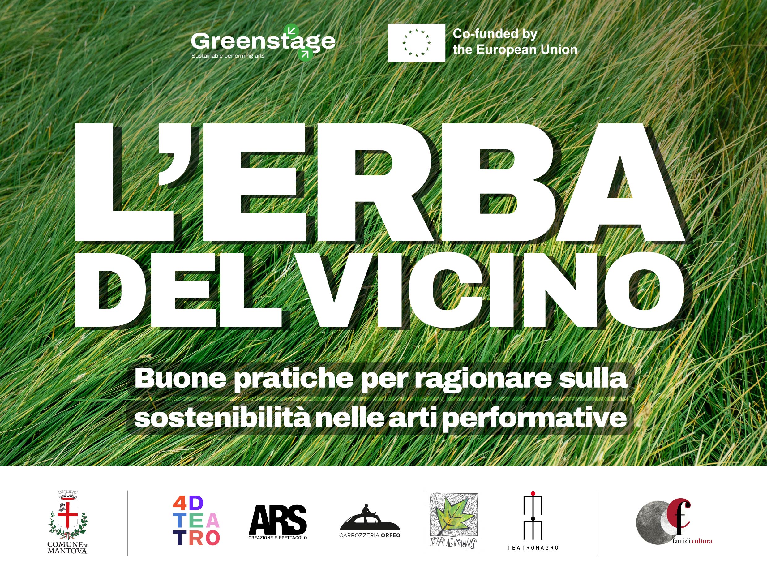 II LPH Articolo Articolo