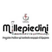 Millepiedini